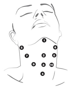 プロファイロの注入方法